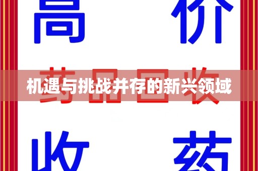 株洲机遇与挑战并存的新兴领域