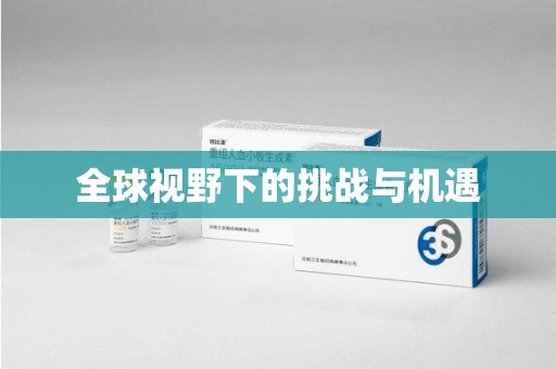 株洲全球视野下的挑战与机遇