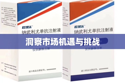 株洲洞察市场机遇与挑战
