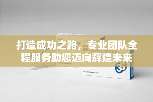 株洲打造成功之路，专业团队全程服务助您迈向辉煌未来