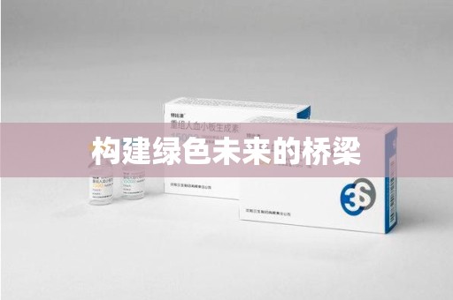 株洲构建绿色未来的桥梁