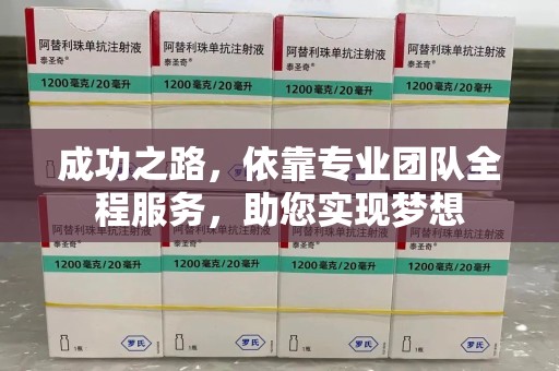 株洲成功之路，依靠专业团队全程服务，助您实现梦想