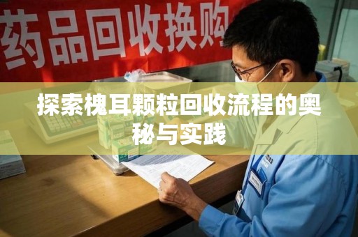 株洲探索槐耳颗粒回收流程的奥秘与实践