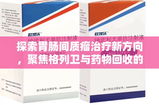 株洲探索胃肠间质瘤治疗新方向，聚焦格列卫与药物回收的未来