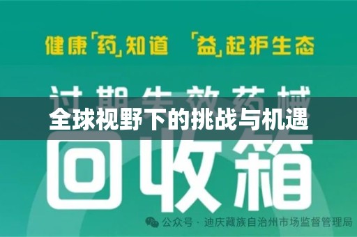 株洲全球视野下的挑战与机遇