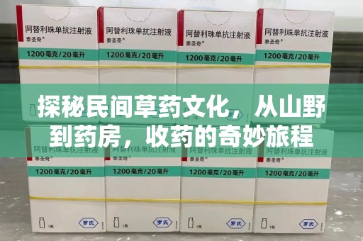 株洲探秘民间草药文化，从山野到药房，收药的奇妙旅程