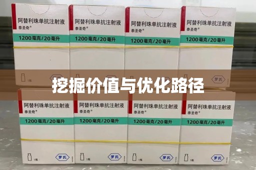株洲挖掘价值与优化路径